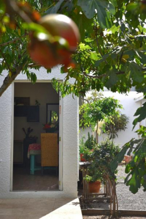 Beautiful apartment in the heart of Playas!